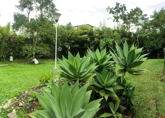 Cotinga Spa